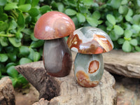 Polished Polychrome Jasper Mushrooms x 4 From Madagascar