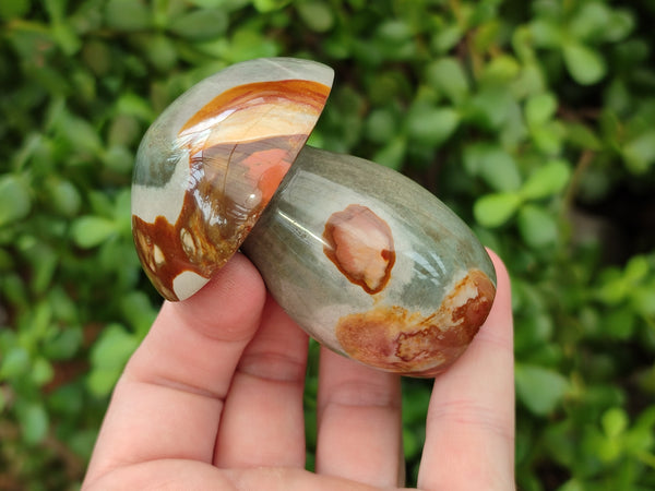 Polished Polychrome Jasper Mushrooms x 4 From Madagascar