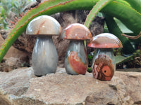 Polished Polychrome Jasper Mushrooms x 4 From Madagascar