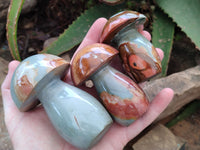 Polished Polychrome Jasper Mushrooms x 4 From Madagascar