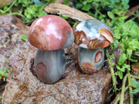 Polished Polychrome Jasper Mushrooms x 4 From Madagascar