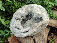 Natural Celestite Geode Specimen x 1 From Sakoany, Madagascar