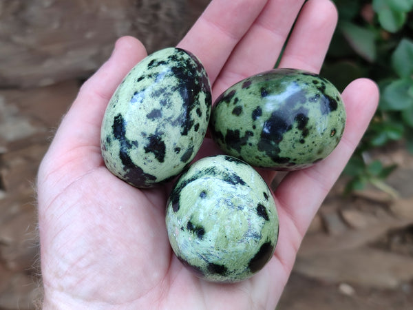 Polished Leopard Stone Gemstone Eggs x 12 From Zimbabwe