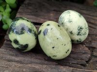 Polished Leopard Stone Gemstone Eggs x 12 From Zimbabwe