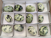 Polished Leopard Stone Gemstone Eggs x 12 From Zimbabwe