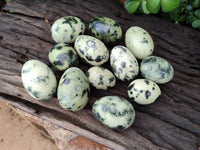 Polished Leopard Stone Gemstone Eggs x 12 From Zimbabwe