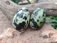 Polished Leopard Stone Gemstone Eggs x 12 From Zimbabwe