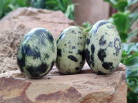 Polished Leopard Stone Gemstone Eggs x 12 From Zimbabwe