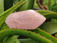 Polished Double Terminated Rose Quartz Points x 6 From Ambatondrazaka, Madagascar