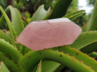 Polished Double Terminated Rose Quartz Points x 6 From Ambatondrazaka, Madagascar