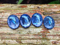 Polished Sodalite Pendant with Hand Painted Dolphin - Sold Per Item - From Namibia