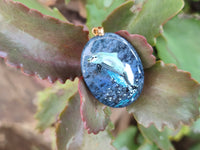 Polished Sodalite Pendant with Hand Painted Dolphin - Sold Per Item - From Namibia