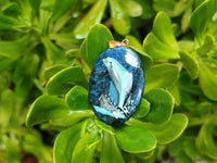 Polished Sodalite Pendant with Hand Painted Dolphin - Sold Per Item - From Namibia