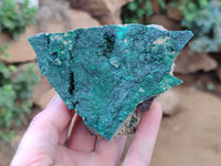 Natural Botryoidal Malachite Specimens x 6 From Congo