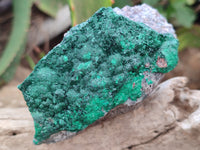 Natural Botryoidal Malachite Specimens x 6 From Congo