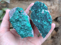 Natural Botryoidal Malachite Specimens x 6 From Congo