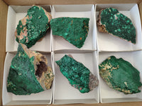 Natural Botryoidal Malachite Specimens x 6 From Congo