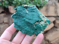 Natural Botryoidal Malachite Specimens x 6 From Congo