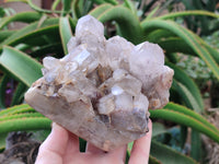 Natural Red Hematoid Quartz Clusters x 3 From Karoi, Zimbabwe