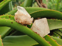 Natural Quartz Clusters x 12 From Mpika, Zambia