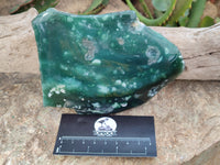 Polished On One Side Emerald Mtorolite Plates x 2 From Mutorashanga, Zimbabwe