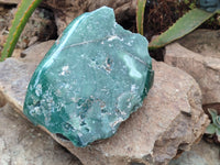 Polished On One Side Emerald Mtorolite Plates x 2 From Mutorashanga, Zimbabwe