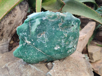 Polished On One Side Emerald Mtorolite Plates x 2 From Mutorashanga, Zimbabwe