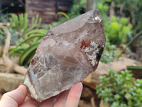 Natural Smokey Quartz Crystals x 2 From Malawi