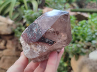 Natural Smokey Quartz Crystals x 2 From Malawi