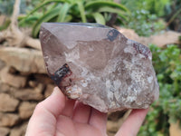 Natural Smokey Quartz Crystals x 2 From Malawi