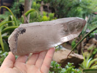 Natural Smokey Quartz Crystals x 2 From Malawi