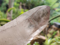 Natural Smokey Quartz Crystals x 2 From Malawi