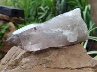 Natural Smokey Quartz Crystals x 2 From Malawi