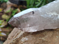 Natural Smokey Quartz Crystals x 2 From Malawi