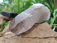 Natural Smokey Quartz Crystals x 2 From Malawi