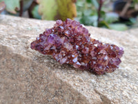 Natural Amethystos Amethyst Clusters x 36 From Kwaggafontein, South Africa