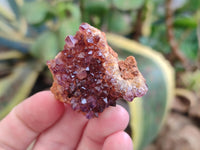 Natural Amethystos Amethyst Clusters x 36 From Kwaggafontein, South Africa