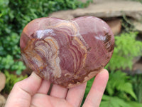 Polished Podocarpus Petrified Wood Gemstone Hearts x 2 From Madagascar