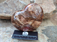 Polished Podocarpus Petrified Wood Gemstone Hearts x 2 From Madagascar