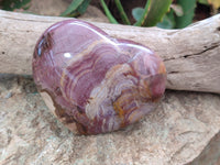 Polished Podocarpus Petrified Wood Gemstone Hearts x 2 From Madagascar