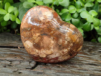 Polished Podocarpus Petrified Wood Gemstone Hearts x 2 From Madagascar