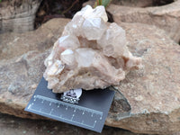 Natural Smokey Phantom Quartz Clusters x 2 From Luena, Congo