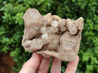 Natural Smokey Phantom Quartz Clusters x 2 From Luena, Congo