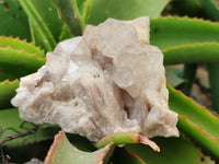 Natural Smokey Phantom Quartz Clusters x 2 From Luena, Congo