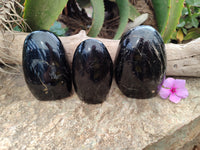 Polished Schorl Black Tourmaline Standing Free Forms x 3 From Madagascar