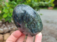 Polished Labradorite Standing Free Forms x 6 From Tulear, Madagascar