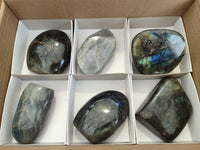 Polished Labradorite Standing Free Forms x 6 From Tulear, Madagascar