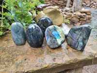 Polished Labradorite Standing Free Forms x 6 From Tulear, Madagascar