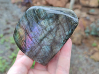 Polished Labradorite Standing Free Forms x 6 From Tulear, Madagascar