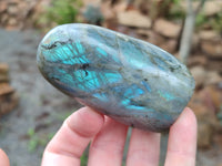 Polished Labradorite Standing Free Forms x 6 From Tulear, Madagascar